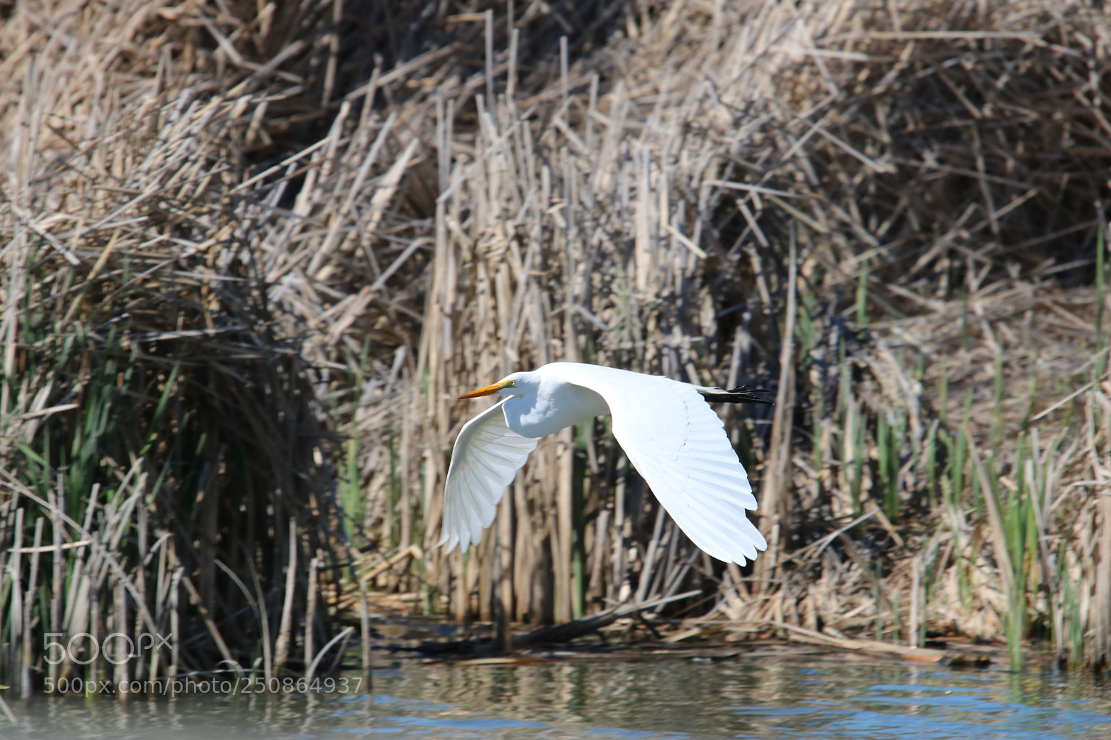 Canon EOS 750D (EOS Rebel T6i / EOS Kiss X8i) sample photo. Egression photography