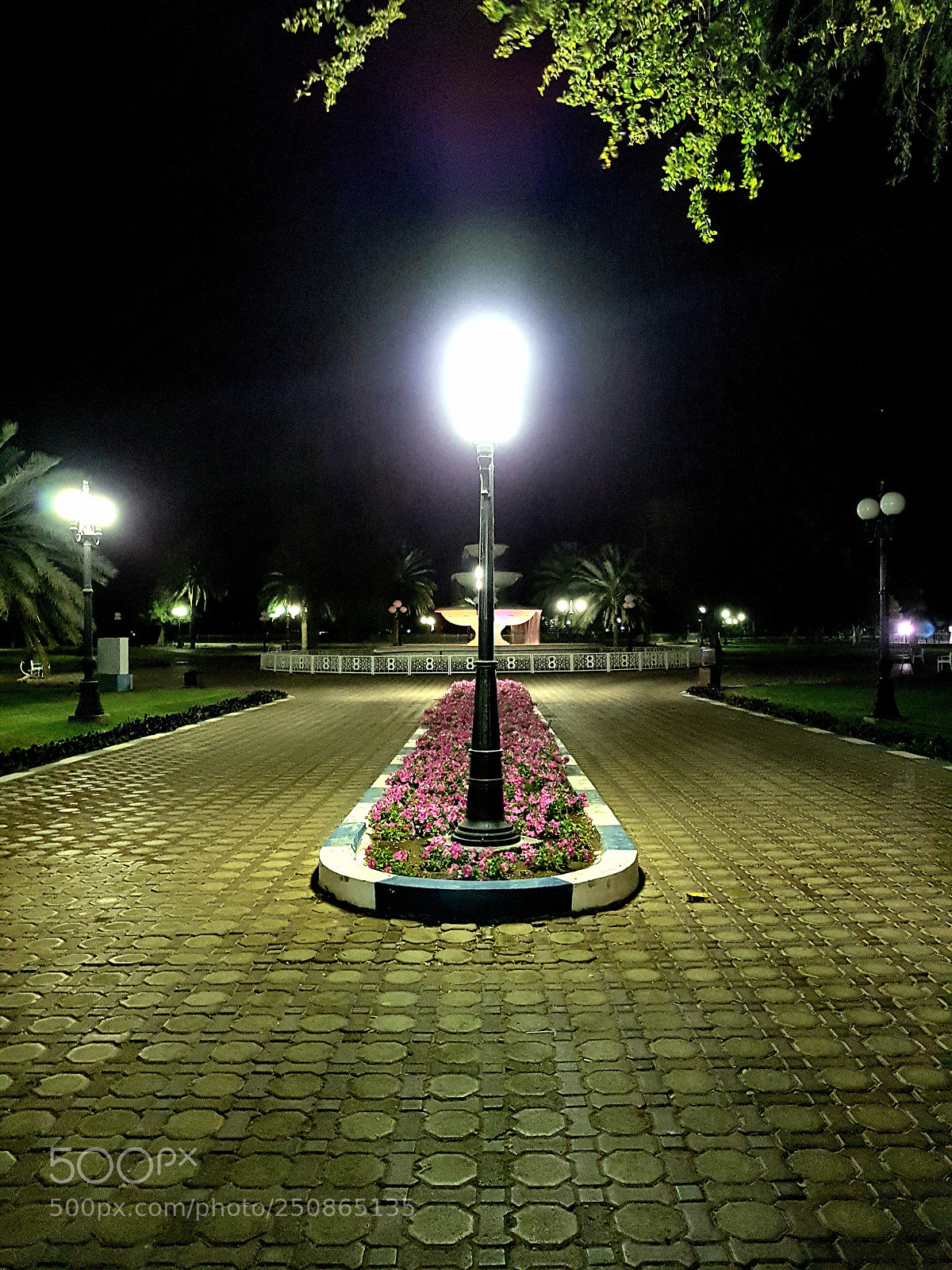 Samsung Galaxy S7 Edge sample photo. Untitled photography