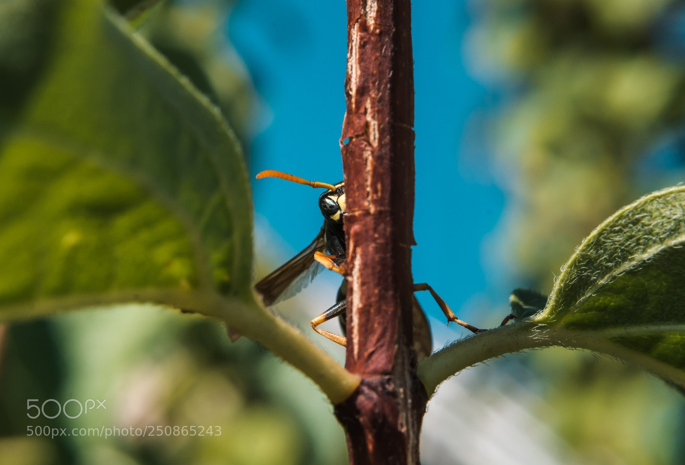 Nikon D7100 sample photo. Untitled photography