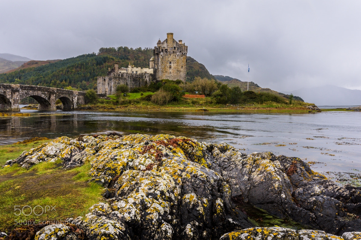 Nikon D7200 sample photo. Castle in the rain photography
