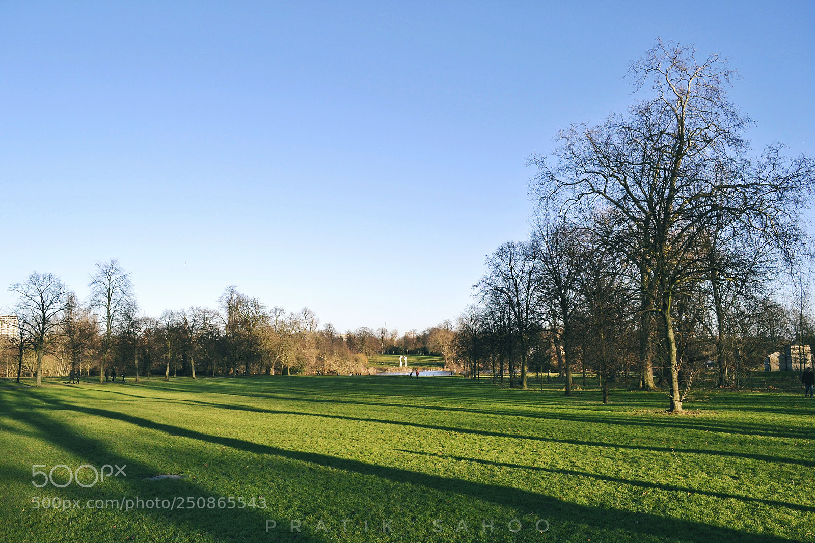 Nikon D3100 sample photo. Long shadows photography