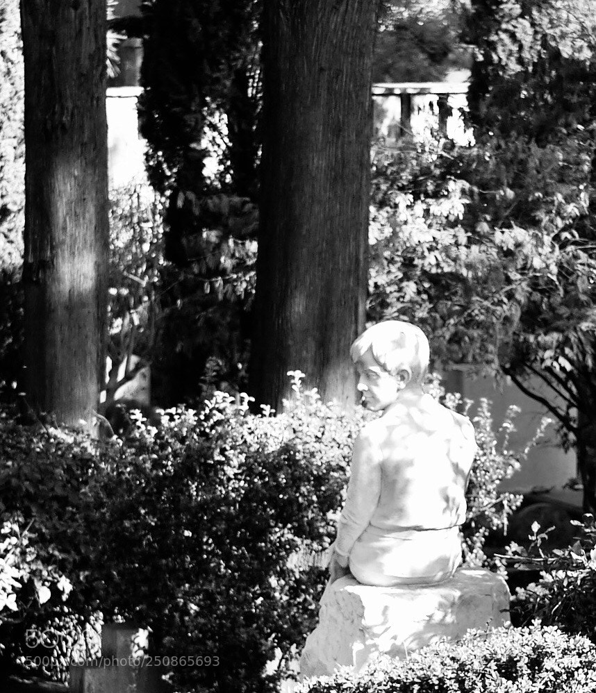 Panasonic Lumix DMC-G5 sample photo. Untitled photography