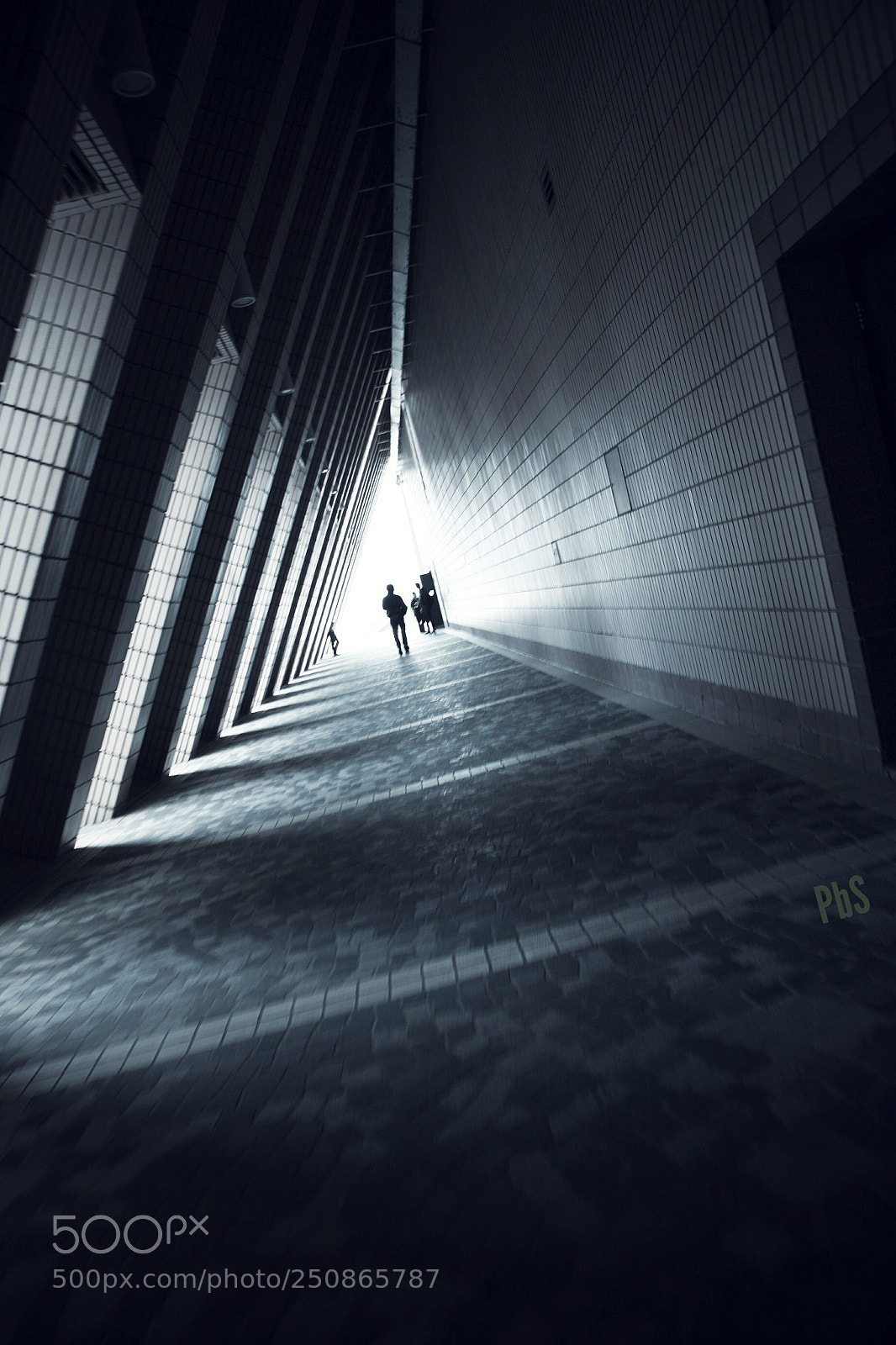 Canon EOS 5D sample photo. Untitled photography