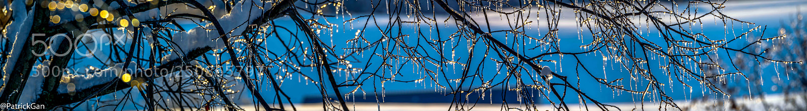 Olympus PEN E-P5 sample photo. Sanainooga in biei hokkaido photography