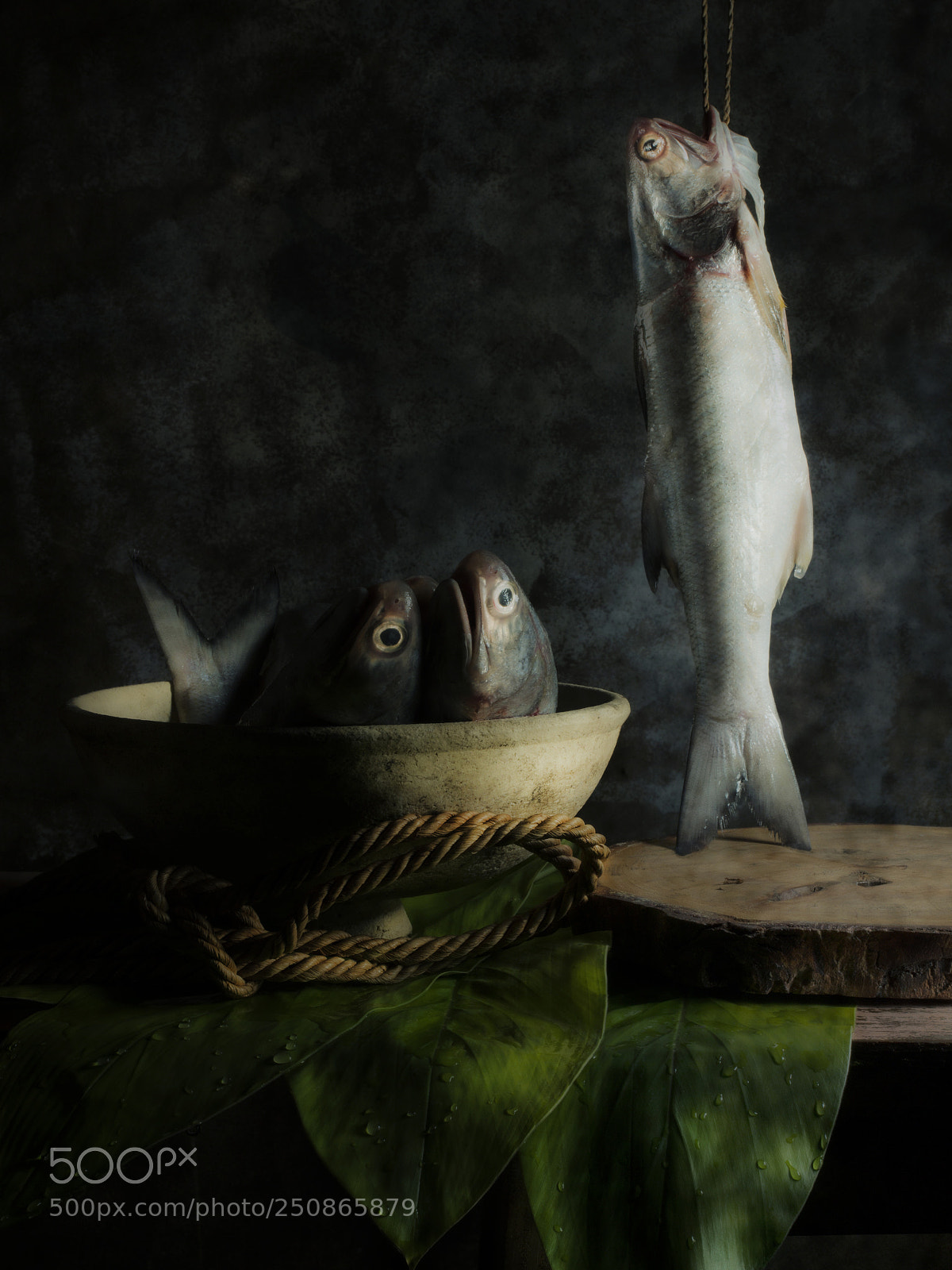 Olympus OM-D E-M5 sample photo. Fresh fish photography