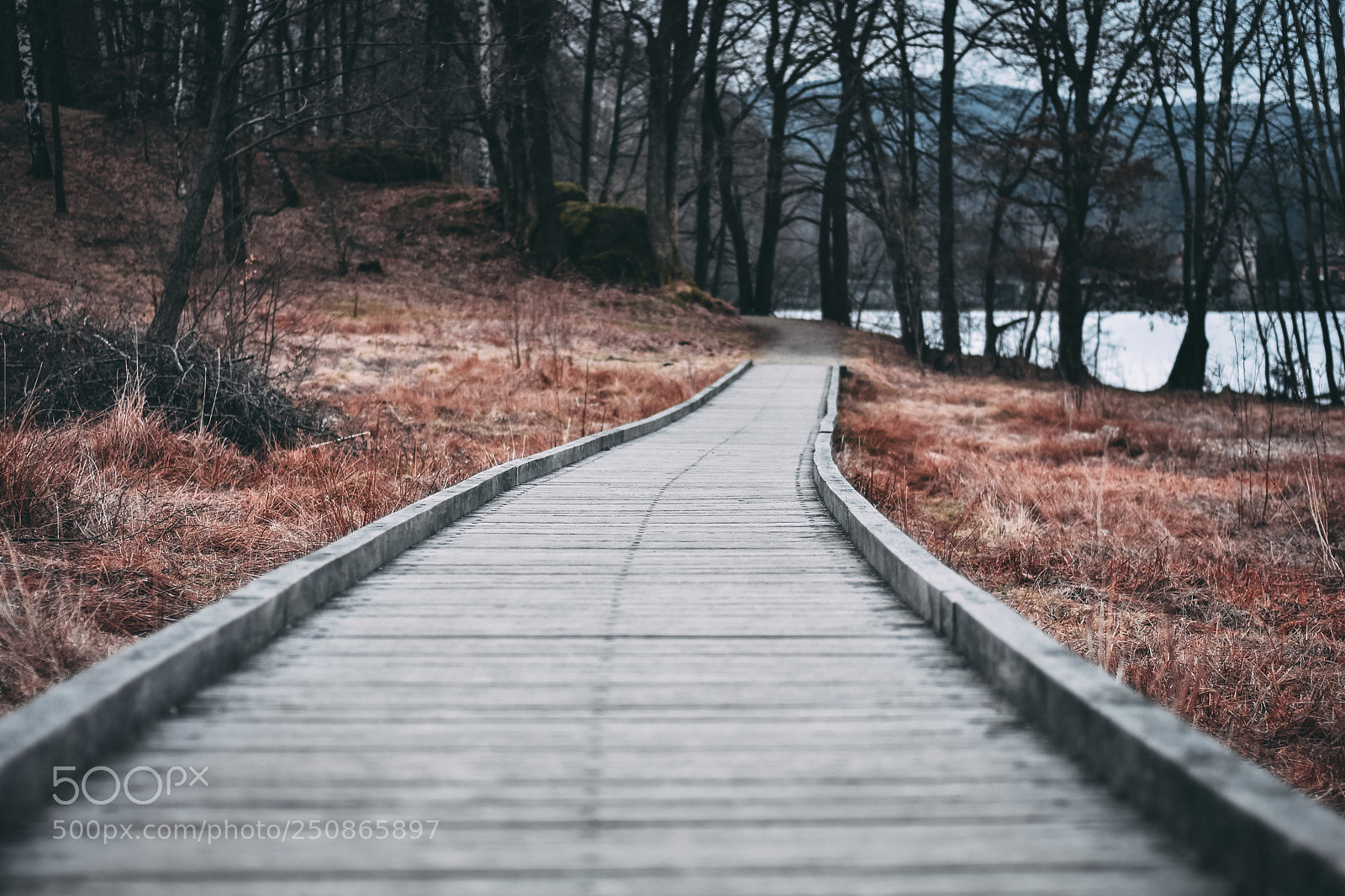 Nikon D7200 sample photo. Way photography