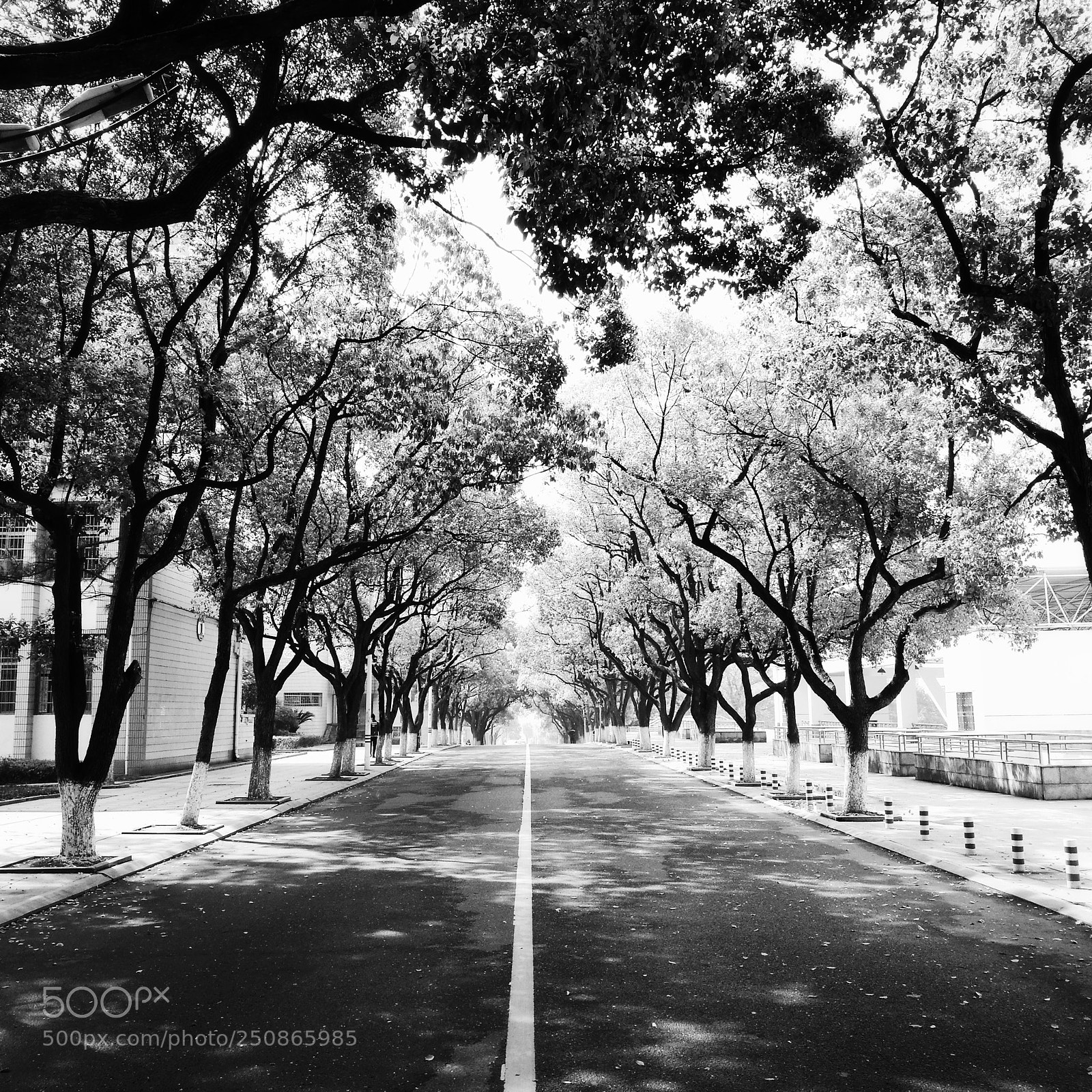 HUAWEI P9 sample photo. Untitled photography