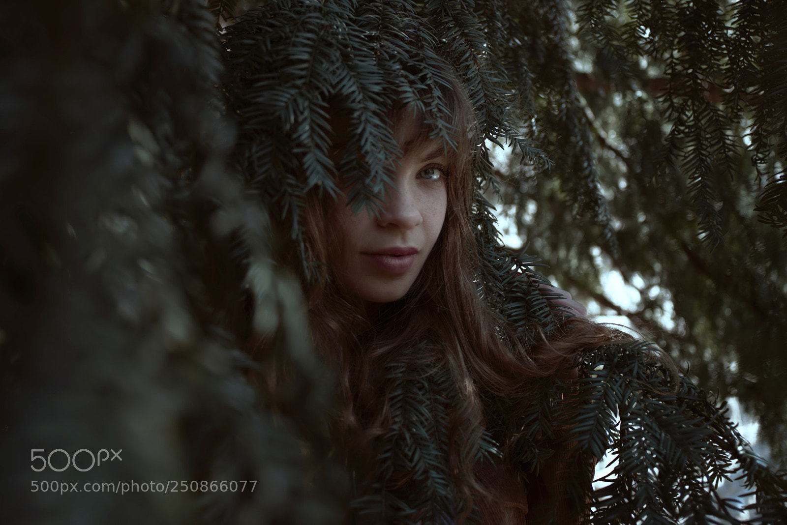 Nikon D800 sample photo. Caterina photography