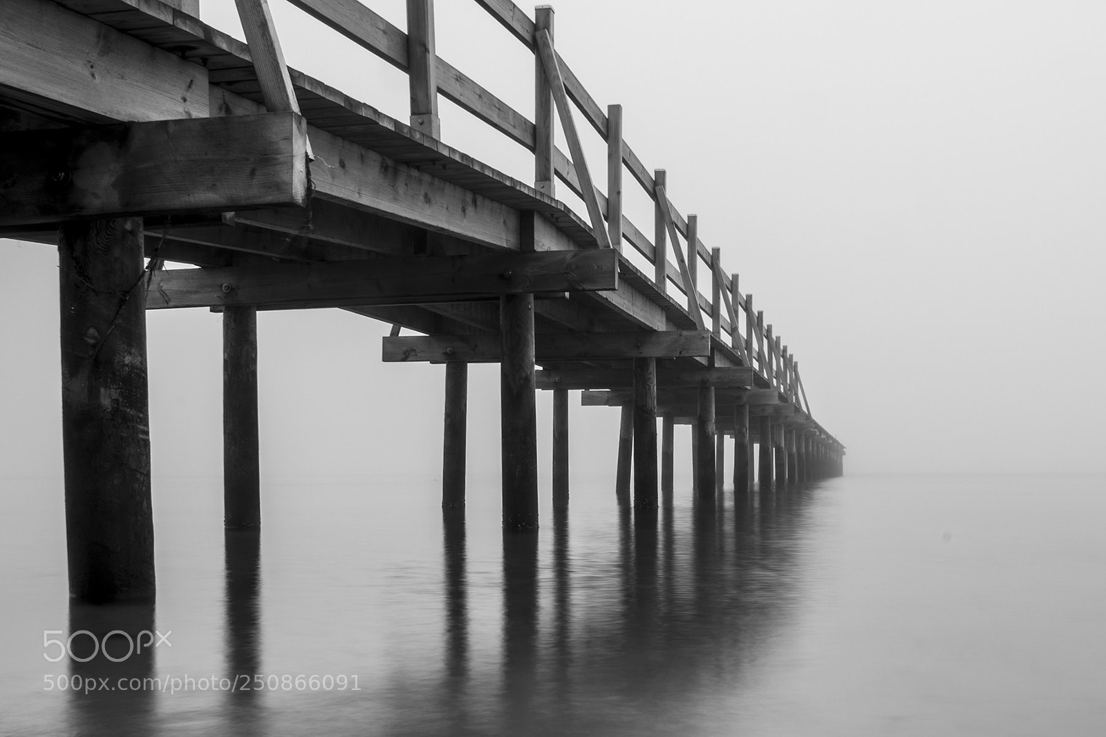 Nikon D800 sample photo. Foggy day photography