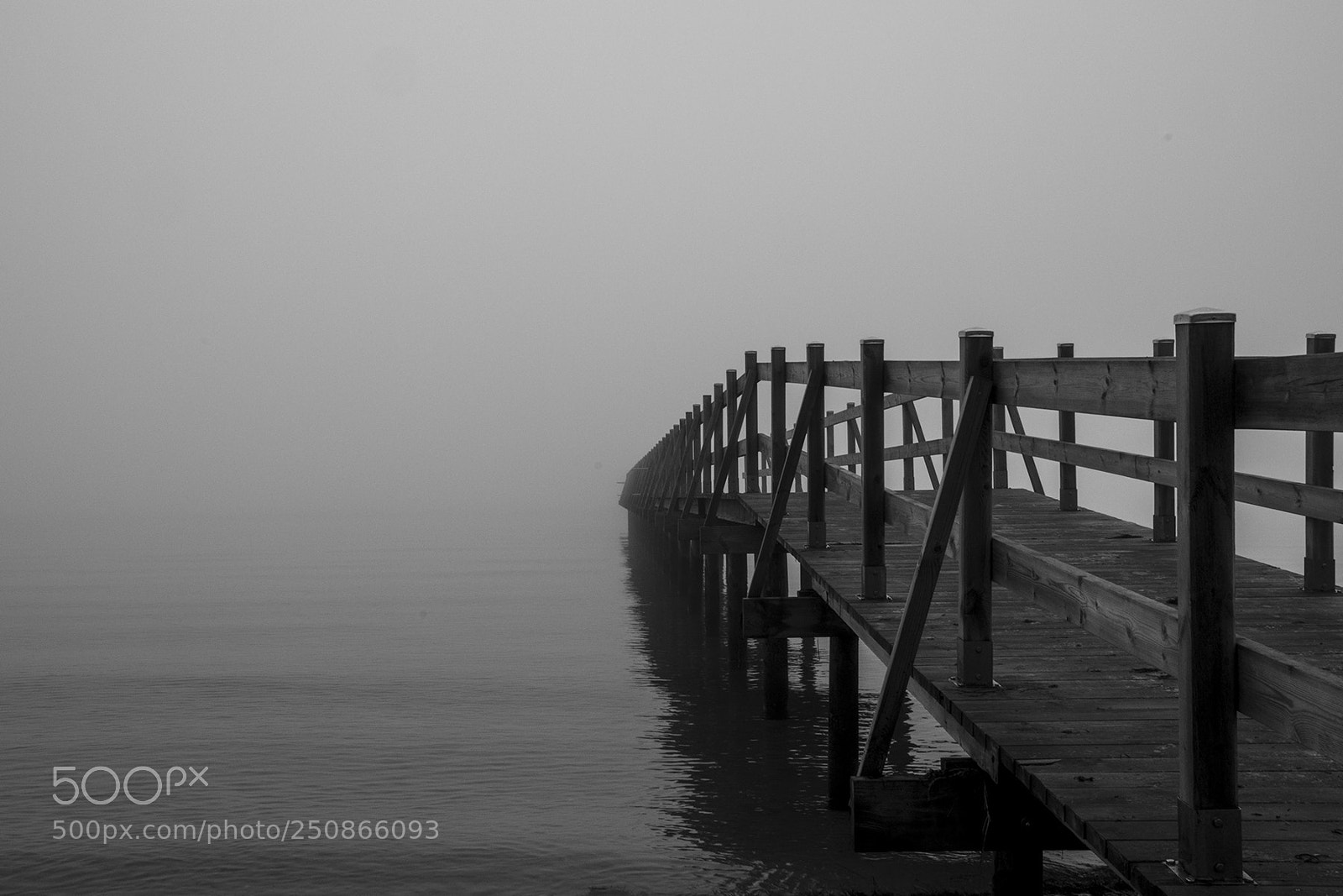 Nikon D800 sample photo. Foggy day photography