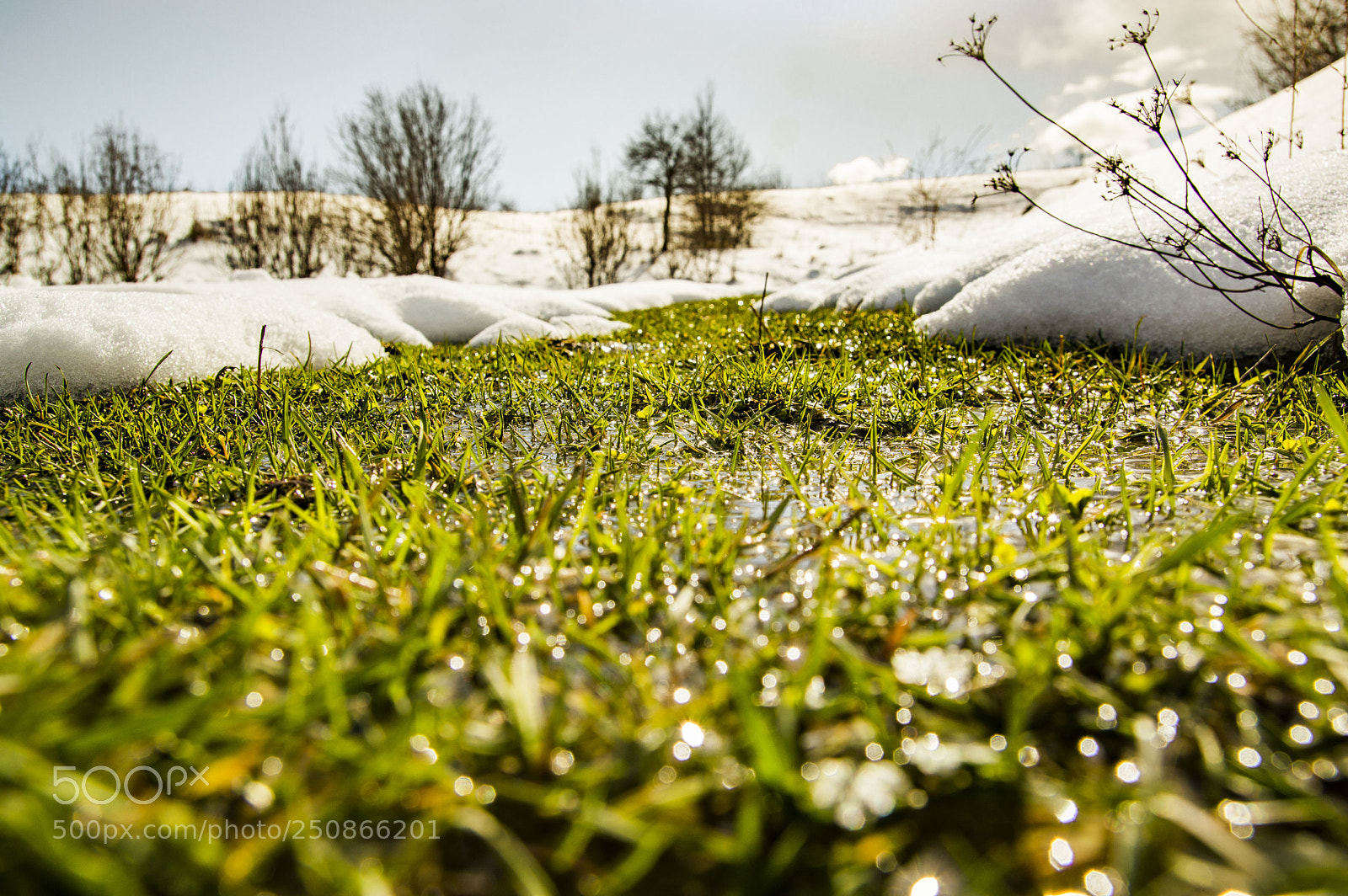 Nikon D3200 sample photo. Reborn photography