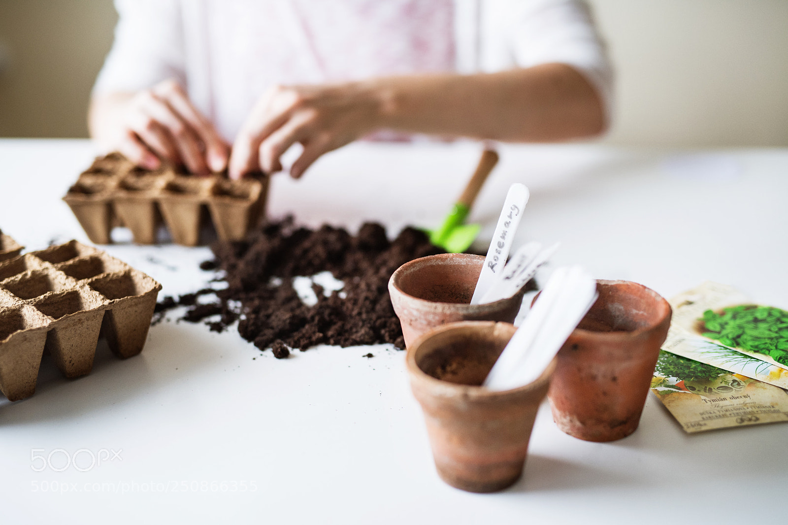 Nikon D5 sample photo. Young woman planting seeds photography