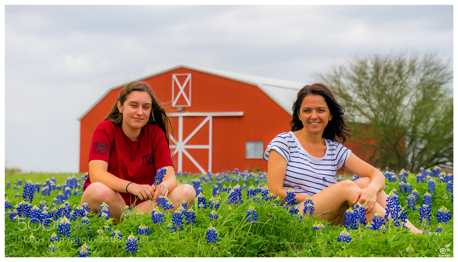 Nikon D3300 sample photo. Bluebonnets photography