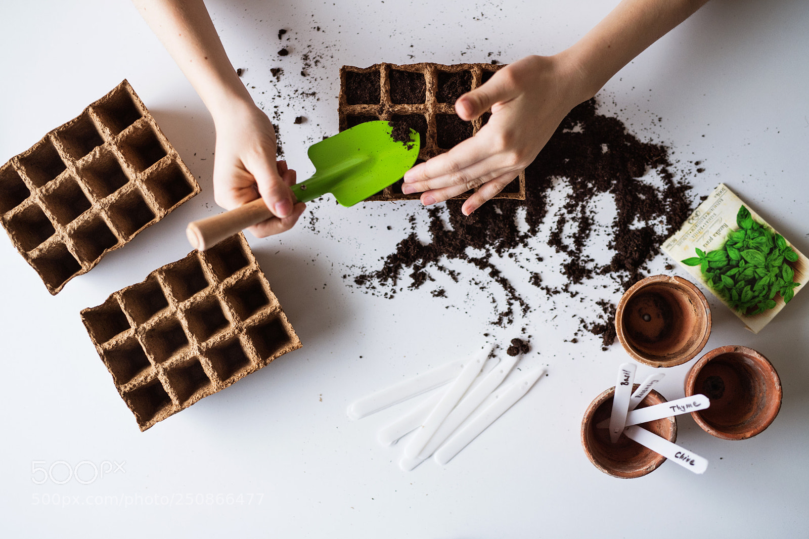 Nikon D5 sample photo. Young woman planting seeds photography