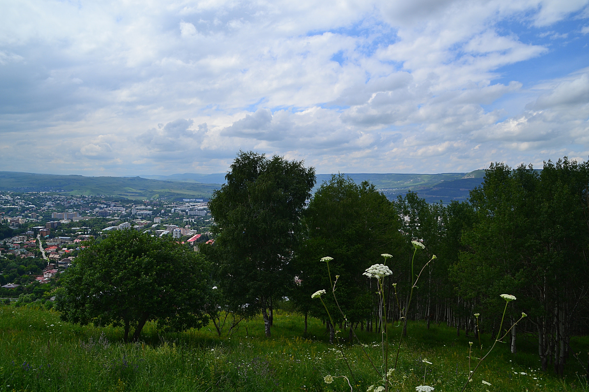Nikon D3100 sample photo. Midlands of kislovodsk photography