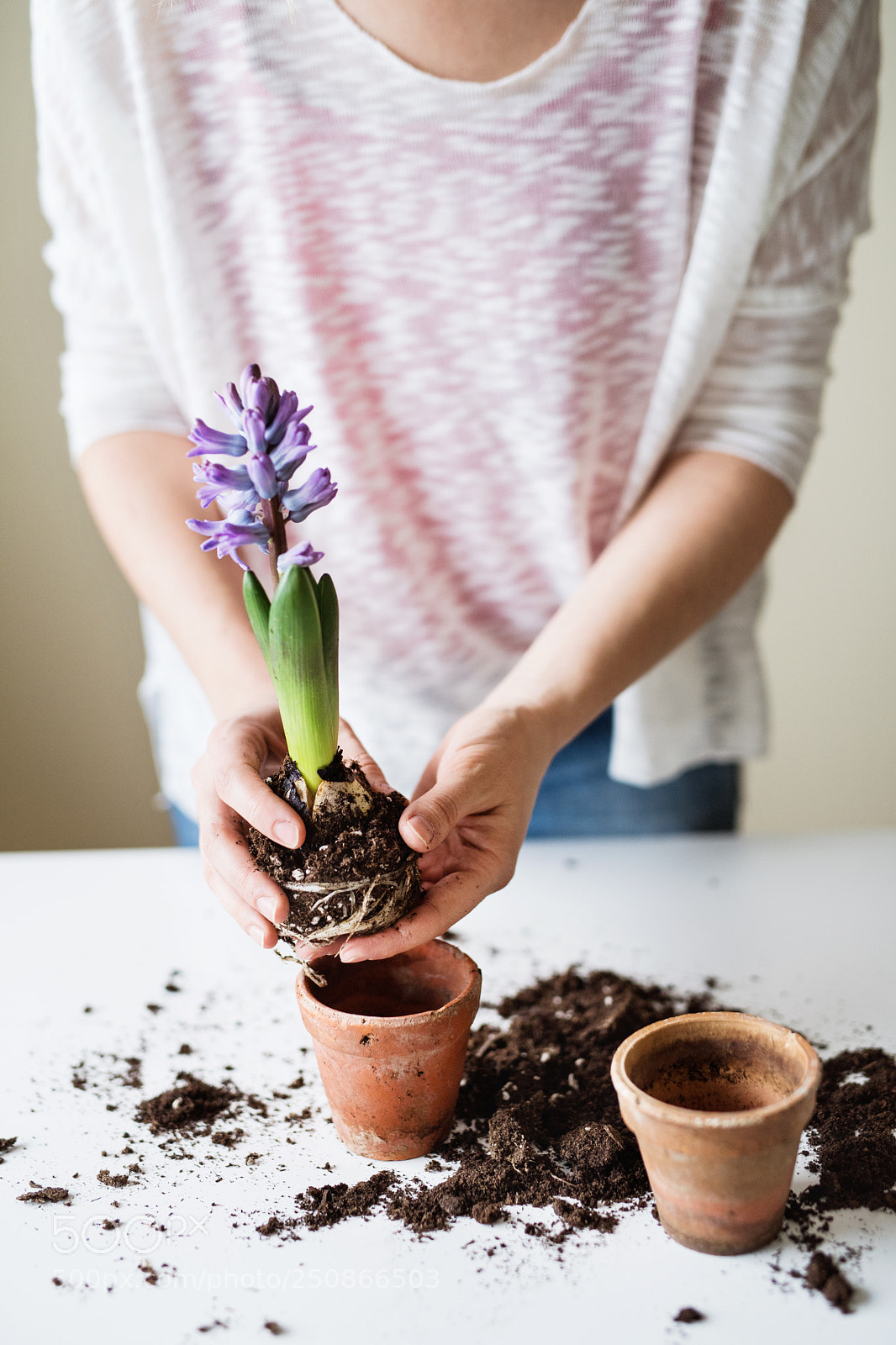 Nikon D5 sample photo. Young woman planting flower photography