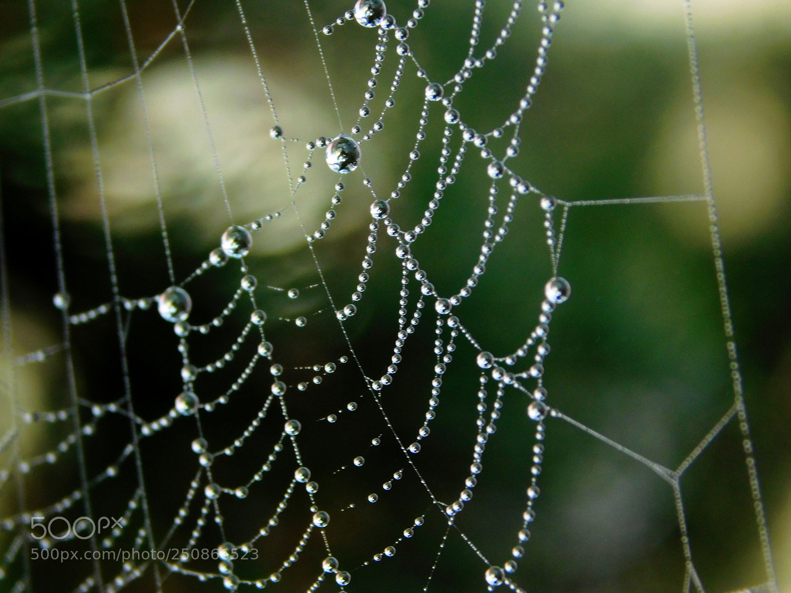 Nikon Coolpix L840 sample photo. Raindrops on the spiderweb photography