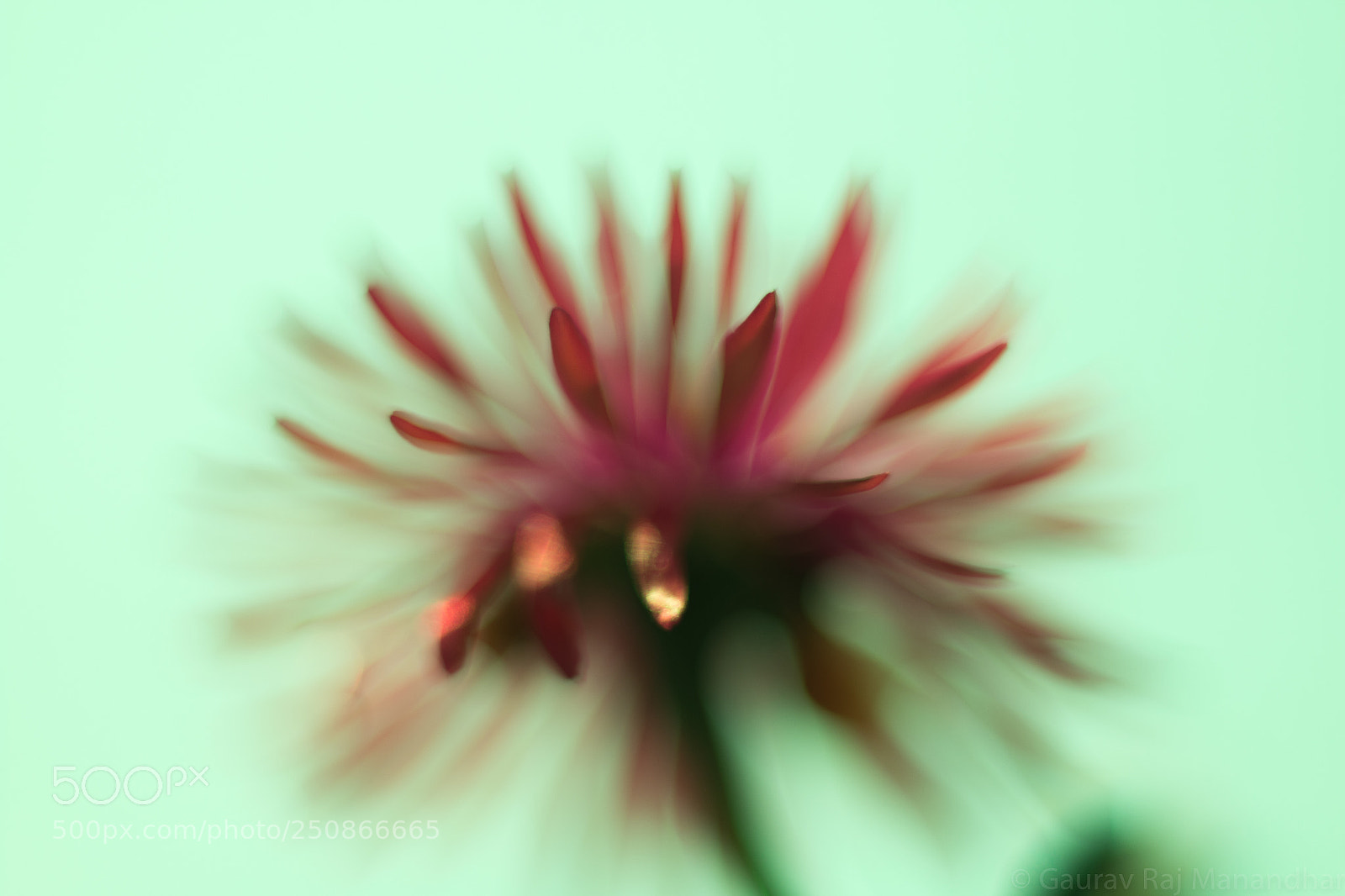 Canon EOS 70D sample photo. Blurry photography