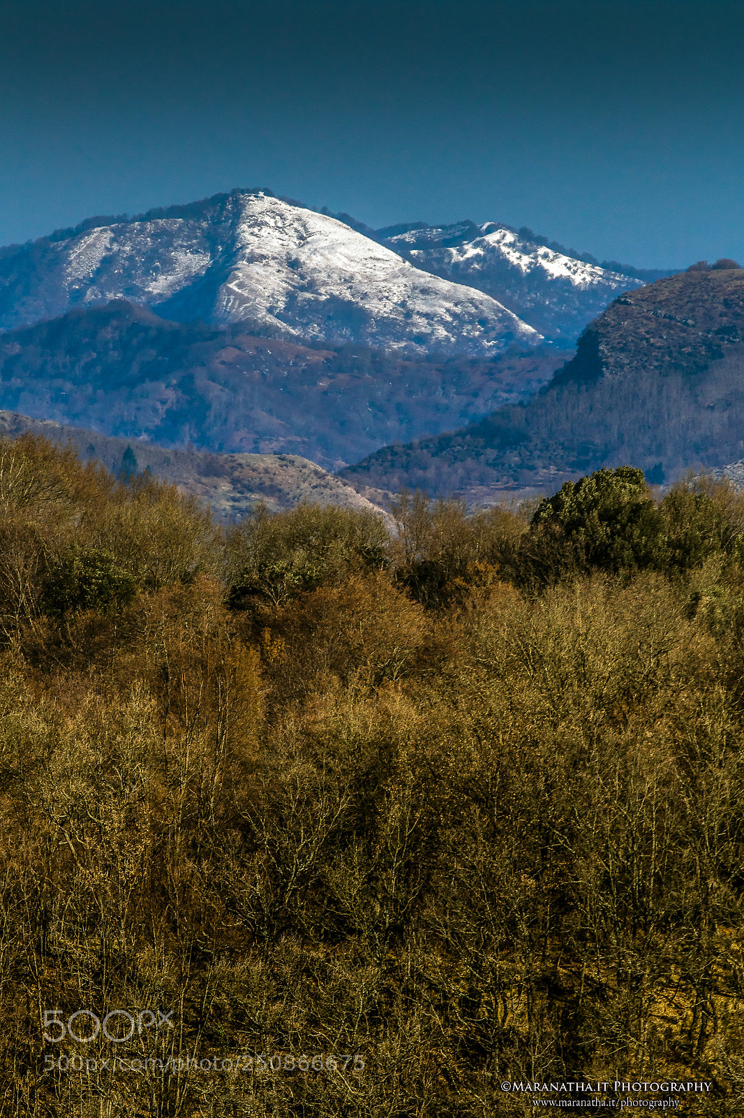 Canon EOS 7D Mark II sample photo. Appennini liguri photography