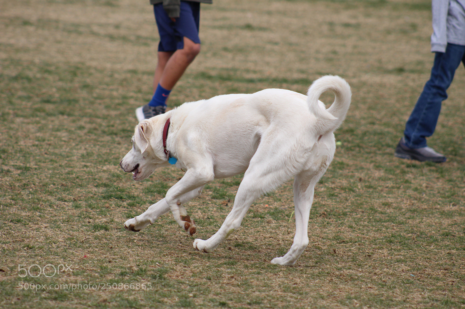 Canon EOS 1300D (EOS Rebel T6 / EOS Kiss X80) sample photo. Omg it s a photography