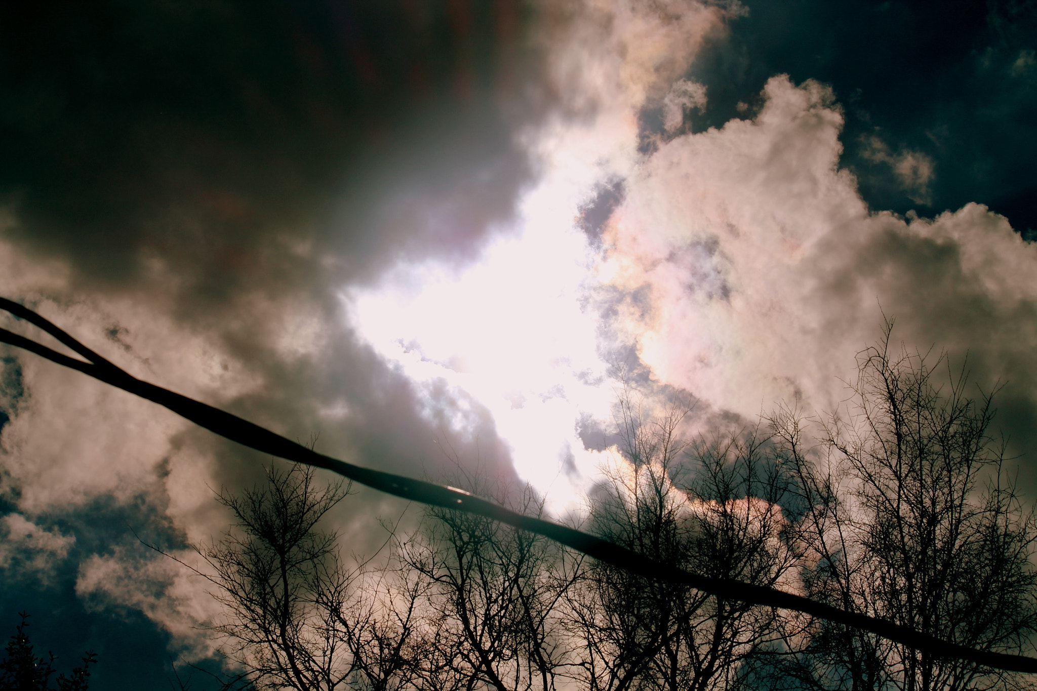 Canon EOS 1100D (EOS Rebel T3 / EOS Kiss X50) sample photo. Louisiana sky, close up, december 2011 photography