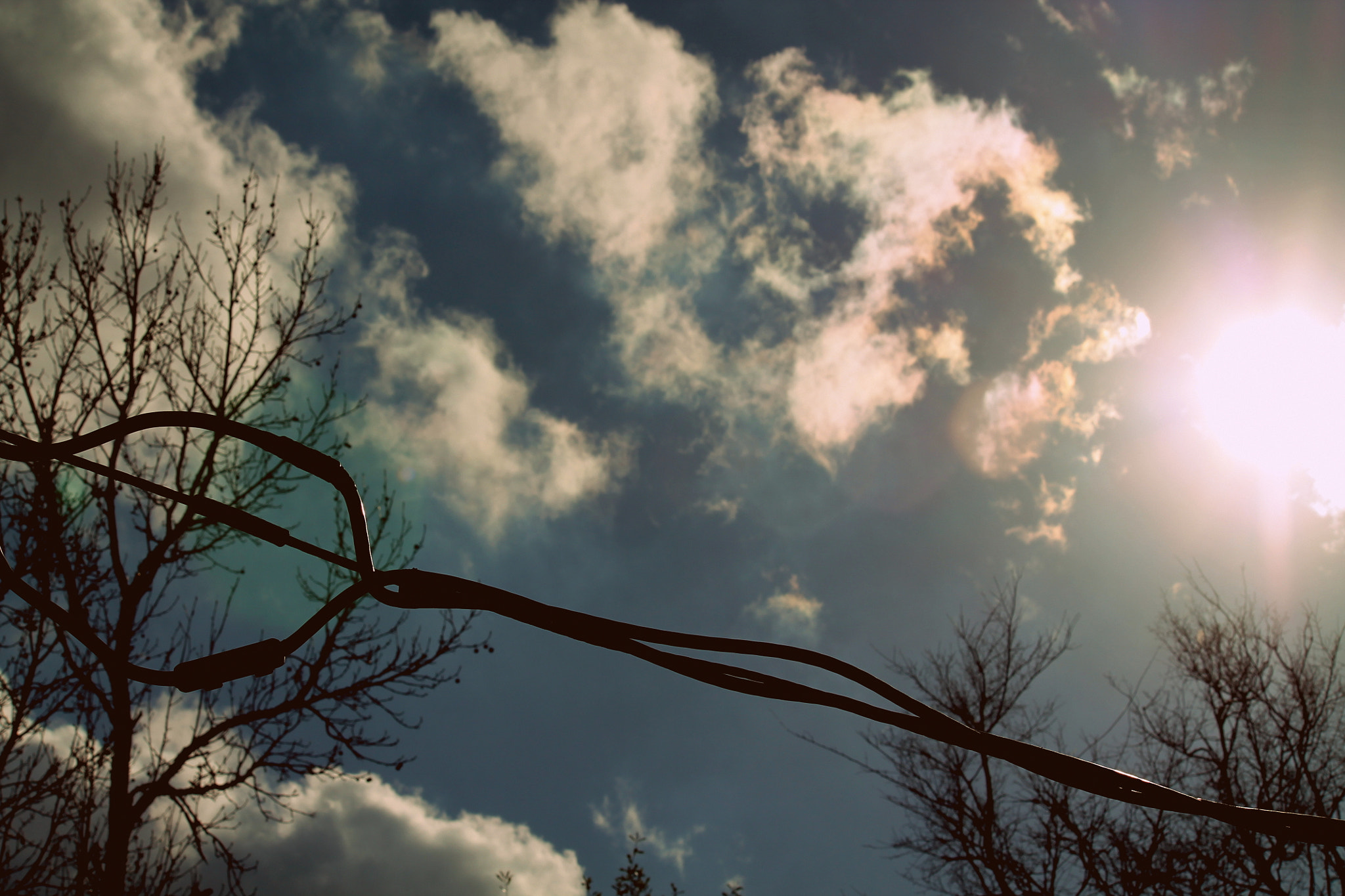 Canon EOS 1100D (EOS Rebel T3 / EOS Kiss X50) sample photo. Louisiana sky, december 2011 photography