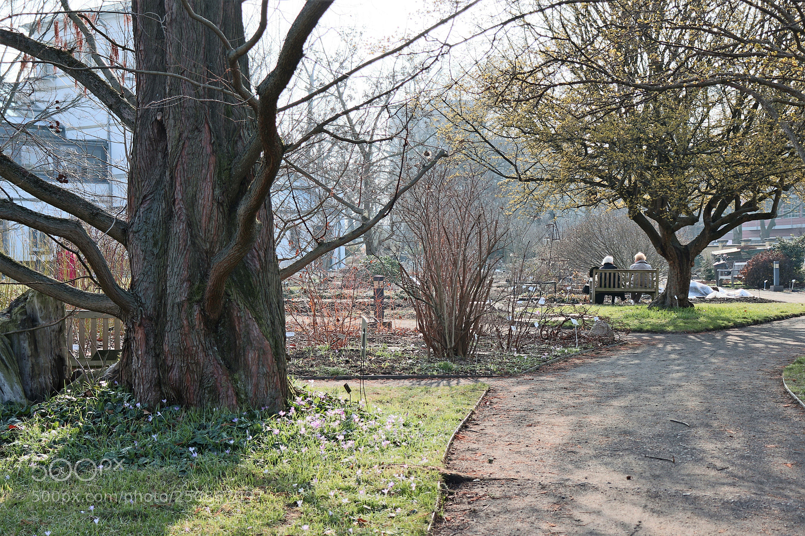 Canon EOS 200D (EOS Rebel SL2 / EOS Kiss X9) sample photo. Springtime photography