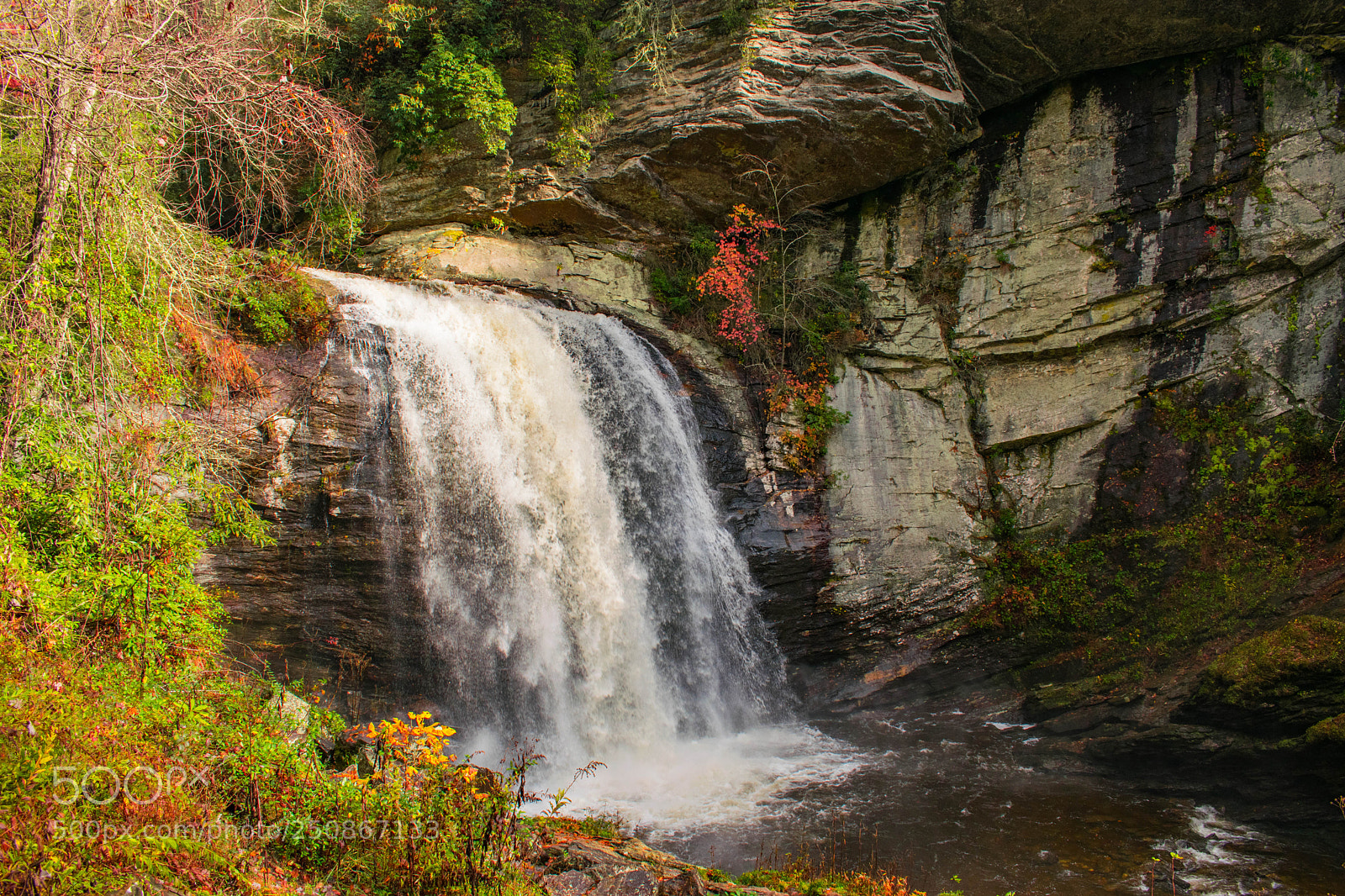 Nikon D5300 sample photo. Looking glass falls photography