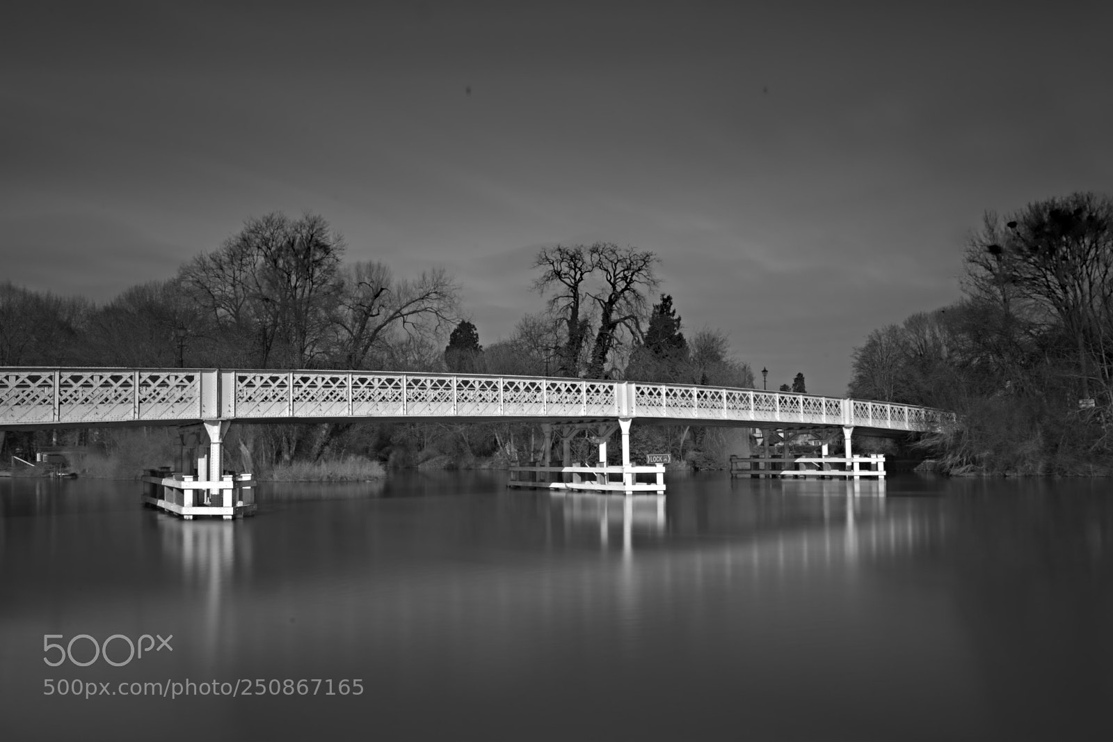 Nikon D7100 sample photo. Bridge photography