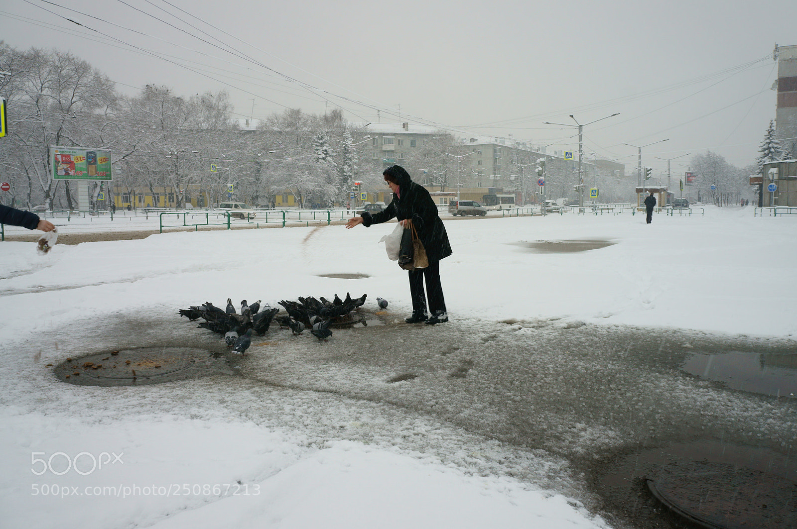 Sony Alpha NEX-5T sample photo. Feed the pigeons photography