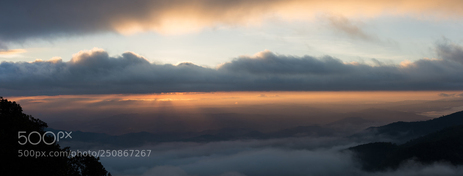 Nikon D7200 sample photo. Keep rising. photography