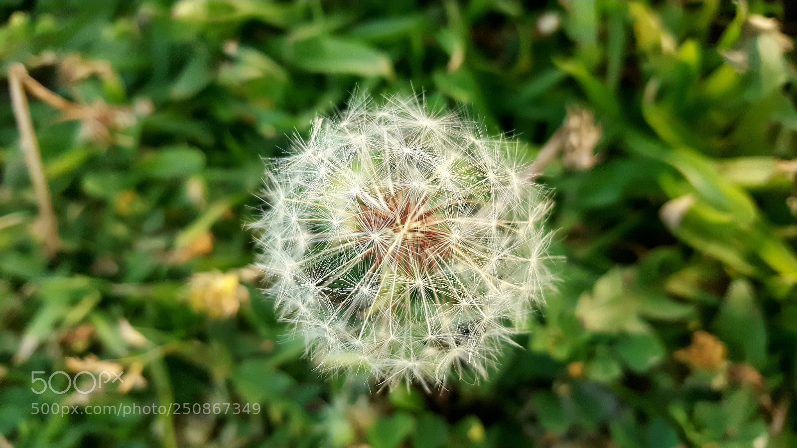 Samsung Galaxy Note5 sample photo. Untitled photography