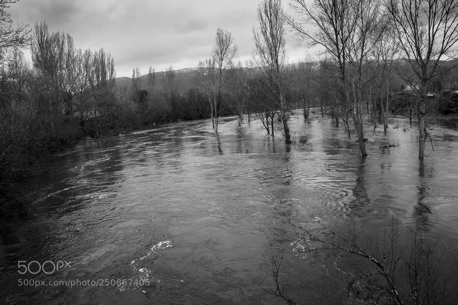 Canon EOS 70D sample photo. The river flooding photography