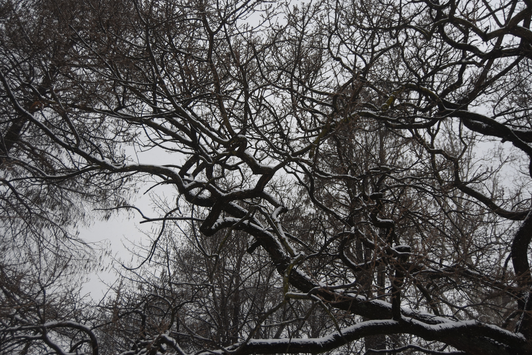 Nikon D7200 sample photo. Beautiful mind photography