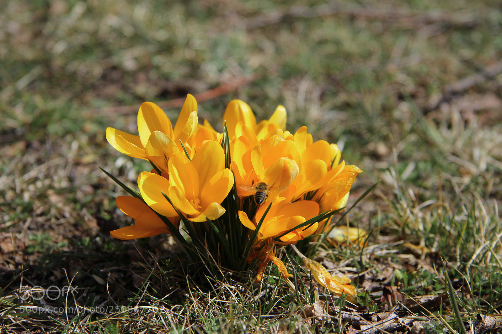 Canon EOS 60D sample photo. Untitled photography