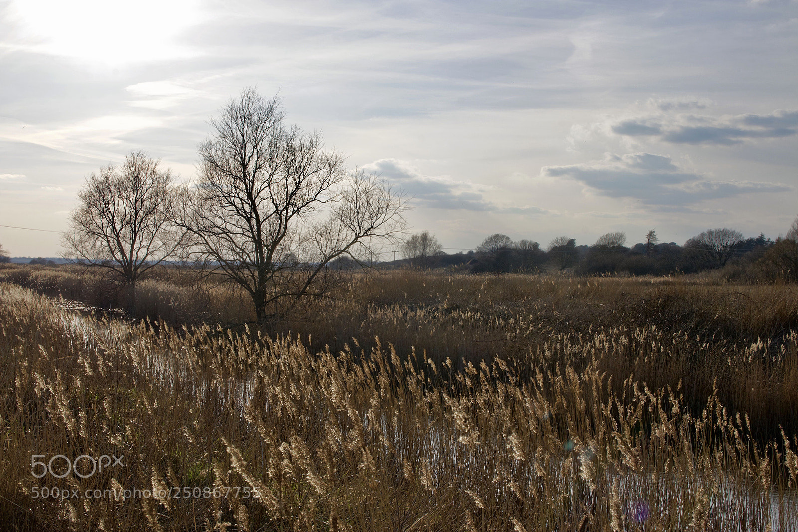 Canon EOS 70D sample photo. Hold the buss photography