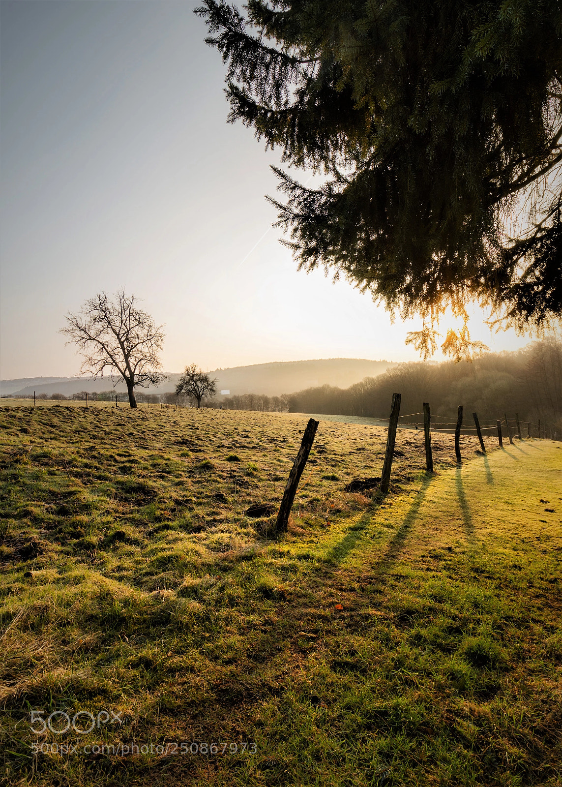 Canon EOS 700D (EOS Rebel T5i / EOS Kiss X7i) sample photo. Solingen photography