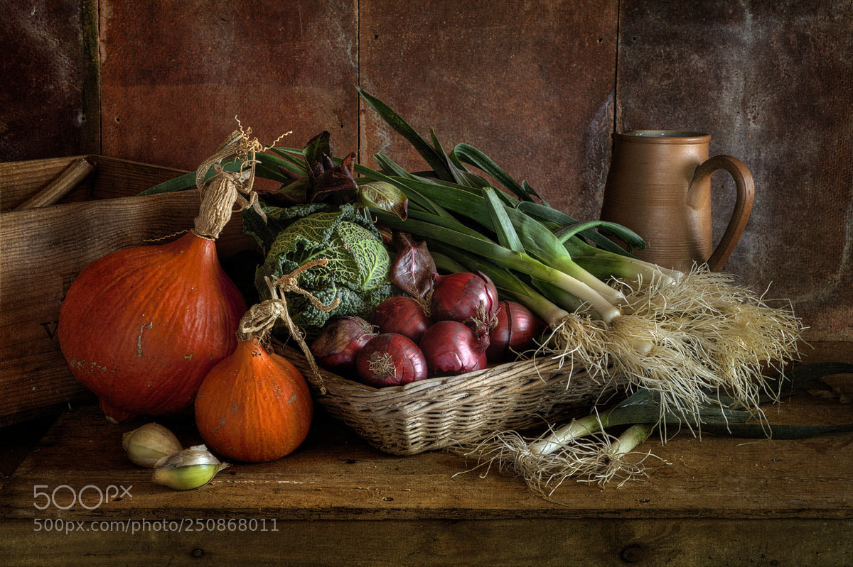 Canon EOS 5D Mark II sample photo. Still life with leeks photography