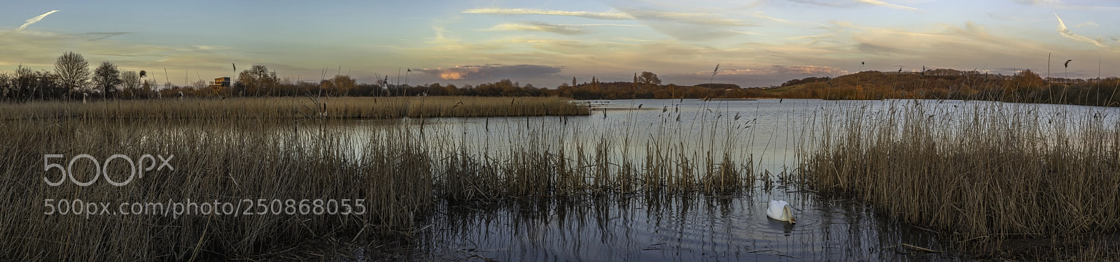 Canon EOS 5D Mark II sample photo. Attenborough nature reserve photography