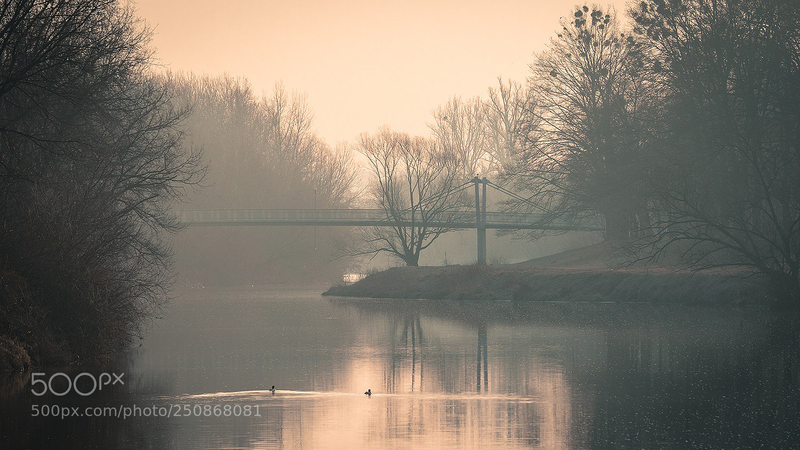 Canon EOS 7D Mark II sample photo. Morning photography