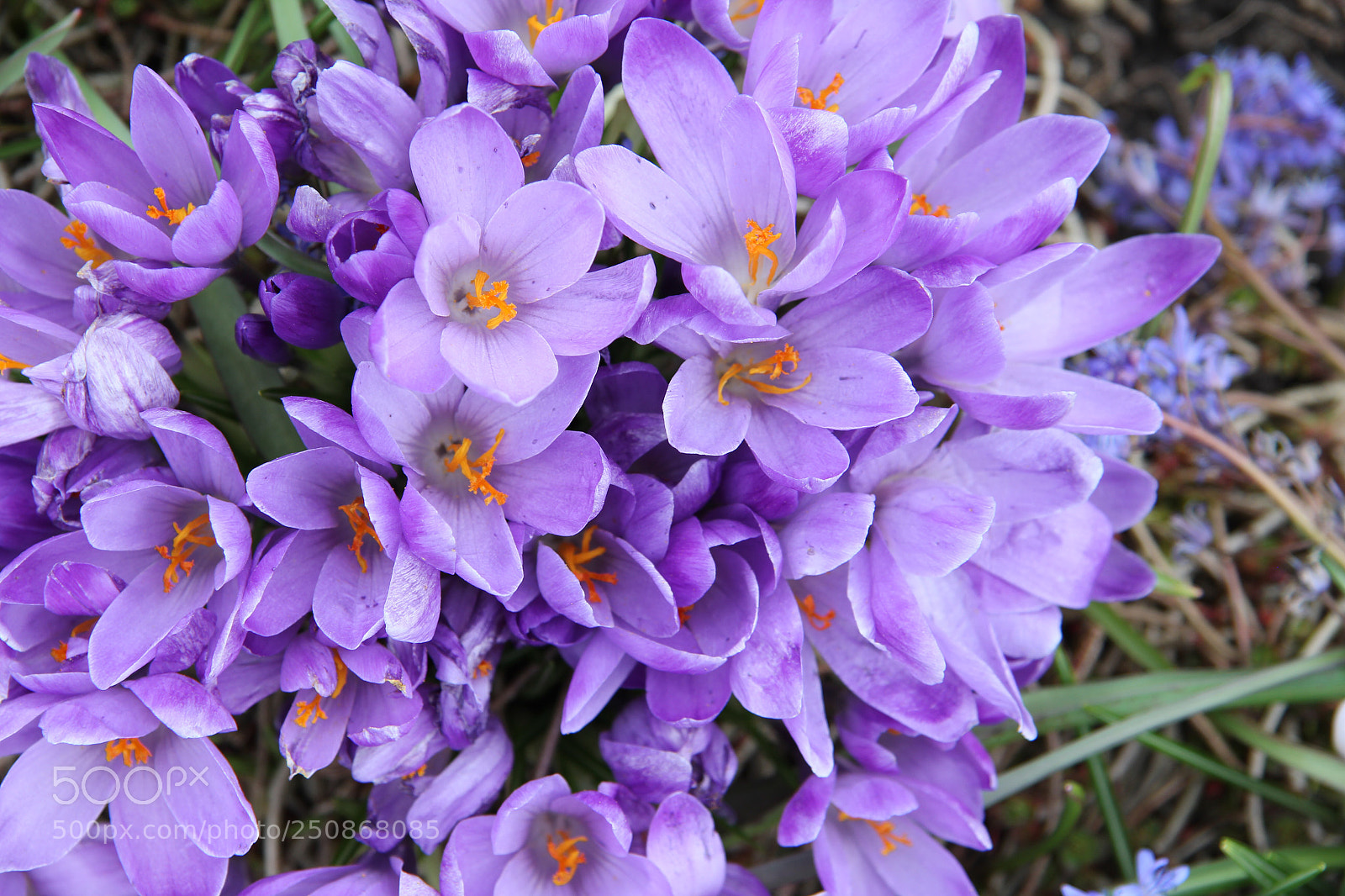 Canon EOS 60D sample photo. Untitled photography