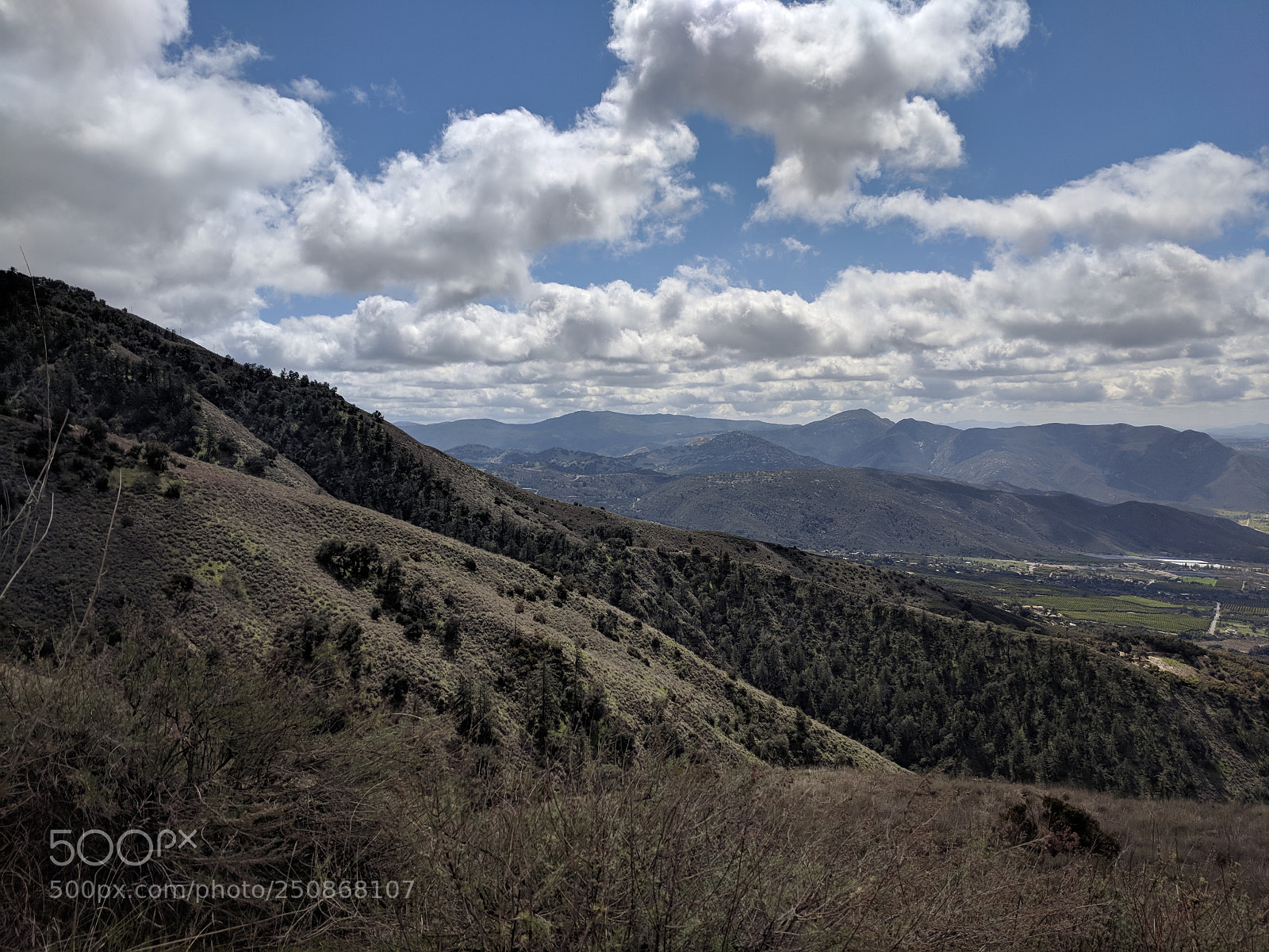 Google Pixel XL sample photo. Img_20180325_114859.jpg photography