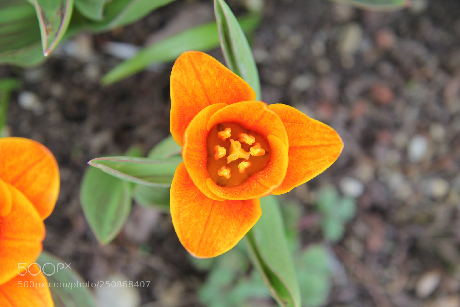 Canon EOS 60D sample photo. Untitled photography
