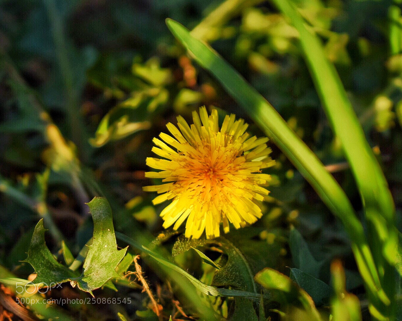 Nikon D5300 sample photo. Untitled photography