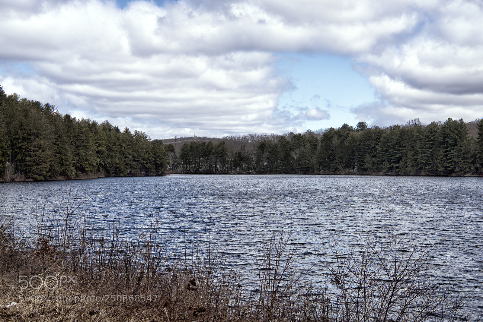 Nikon D810 sample photo. Springtime at buckingham reservoir photography