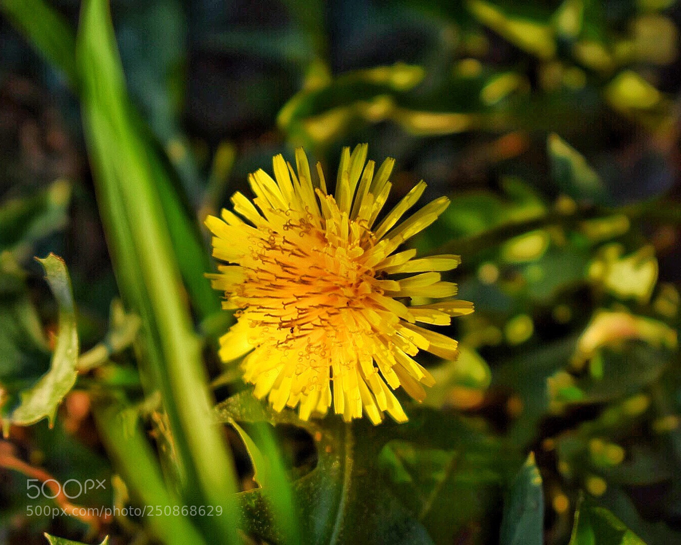 Nikon D5300 sample photo. Untitled photography
