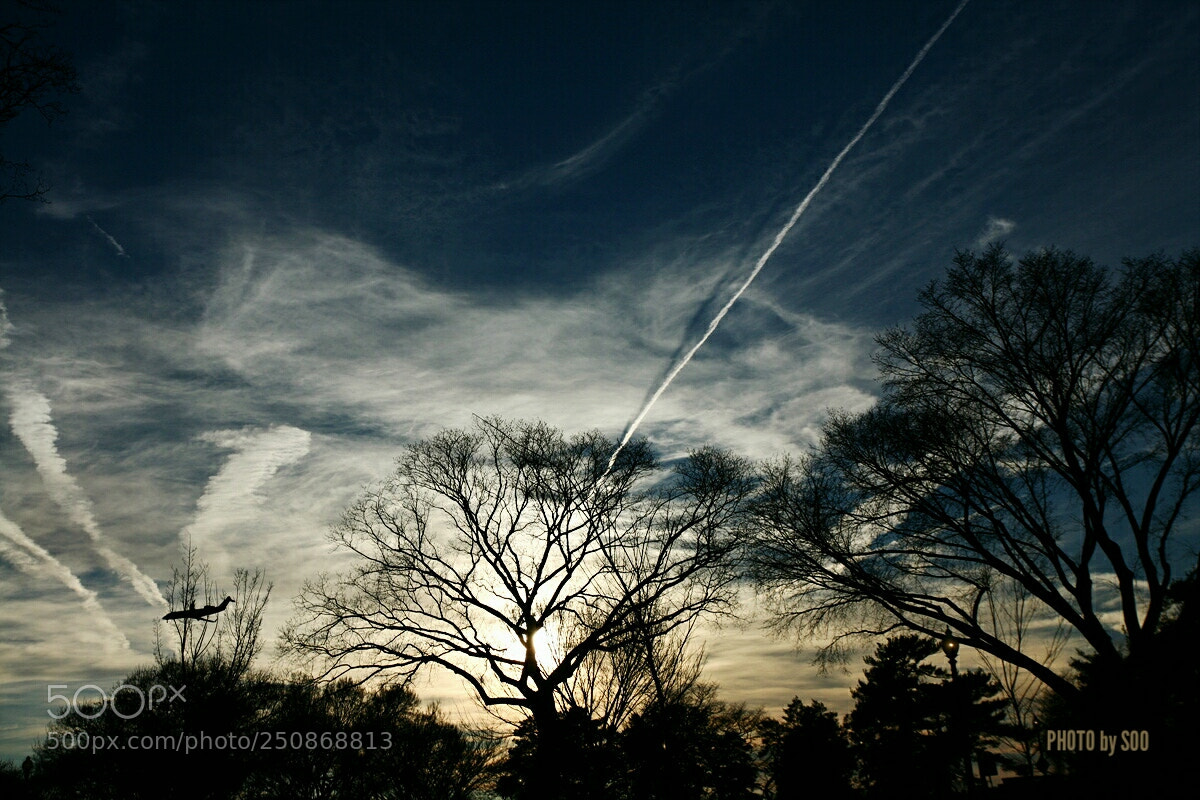 Canon EOS 5D sample photo. Untitled photography