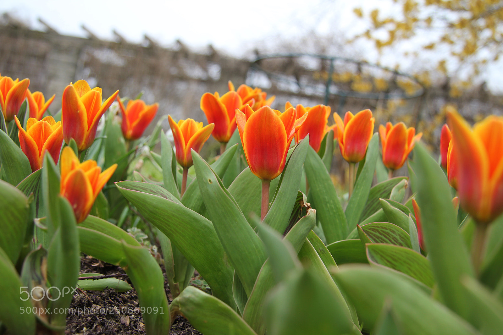 Canon EOS 60D sample photo. Untitled photography