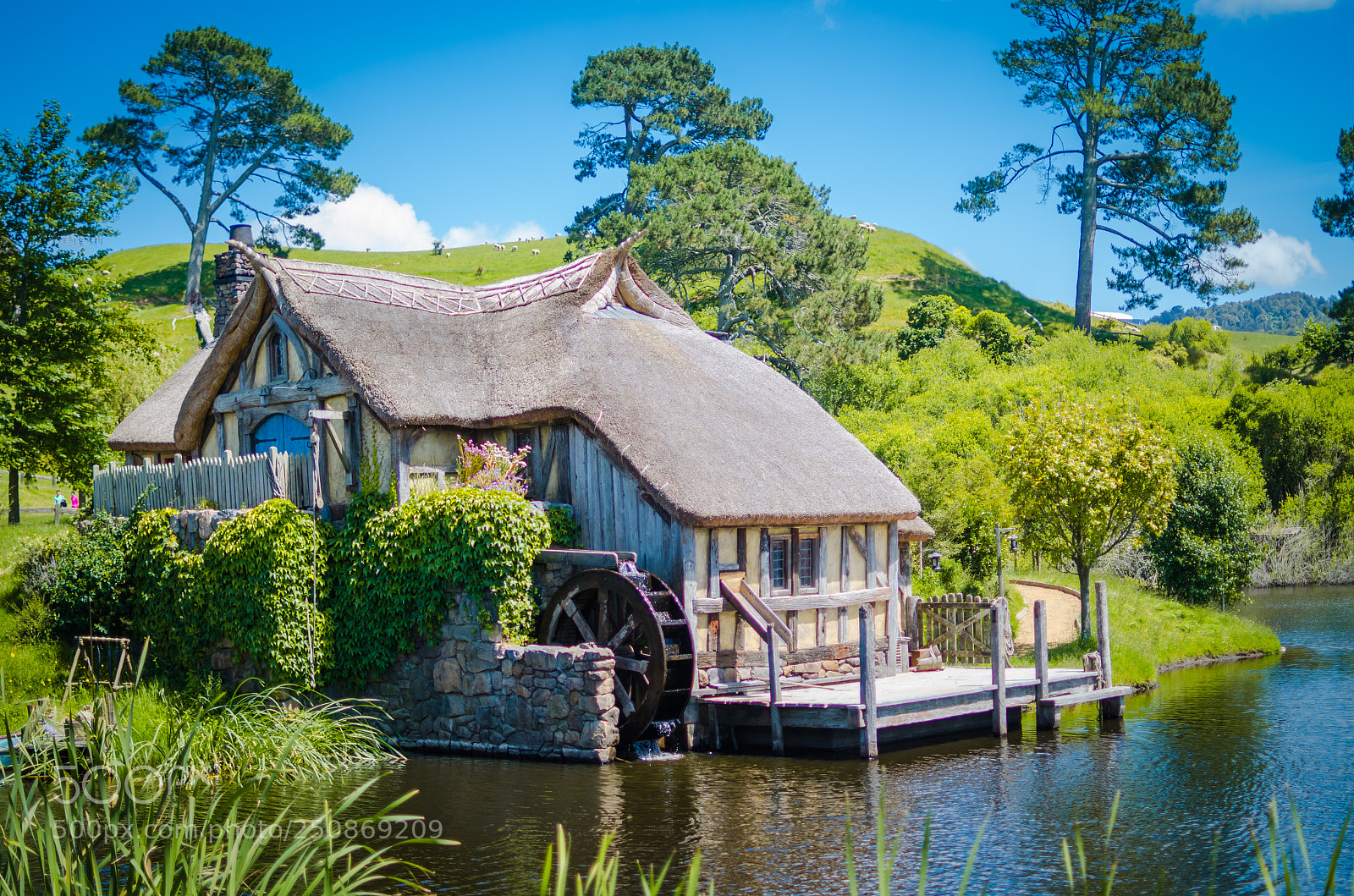 Nikon D7000 sample photo. The shire photography