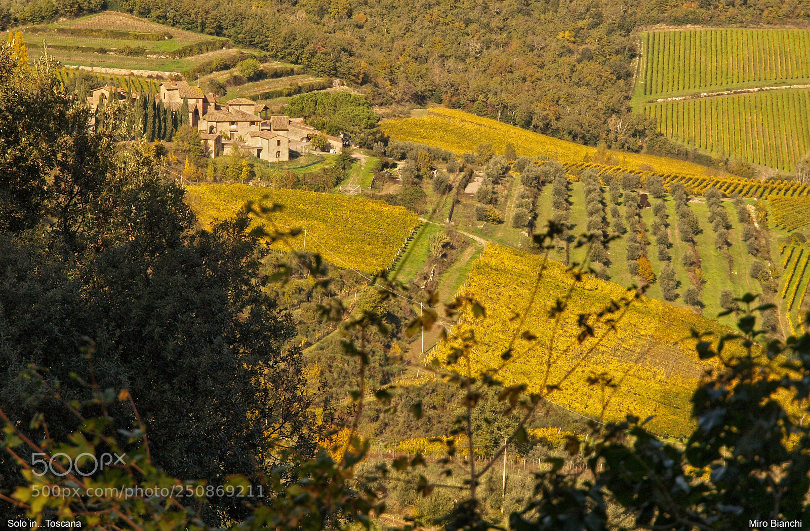Olympus E-520 (EVOLT E-520) sample photo. Greve in chianti photography